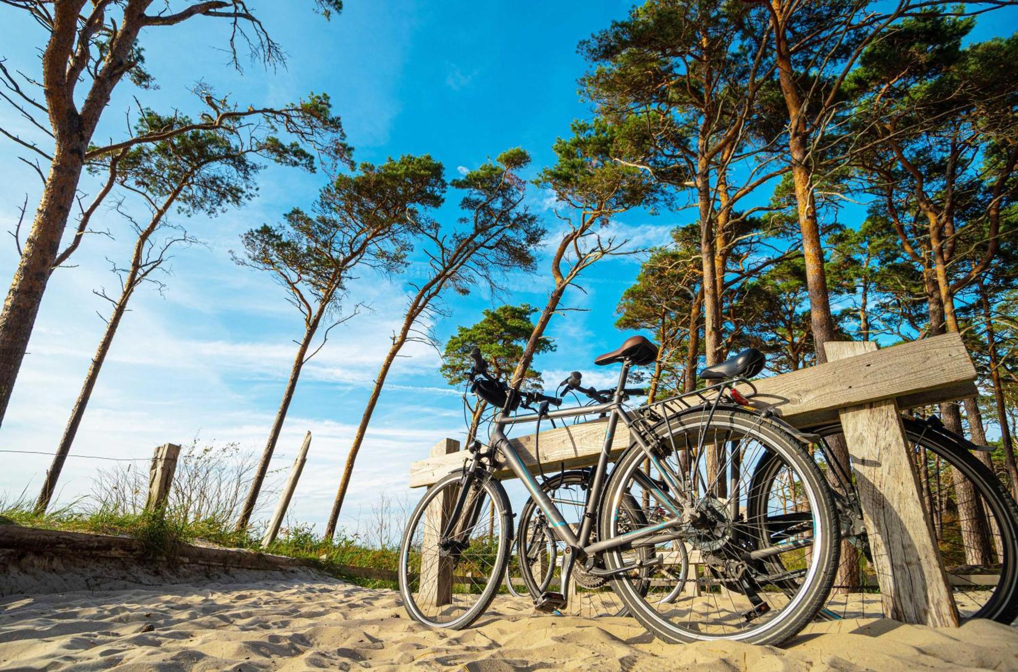 Strandhafer An Der Seebruecke Zingst Buitenkant foto