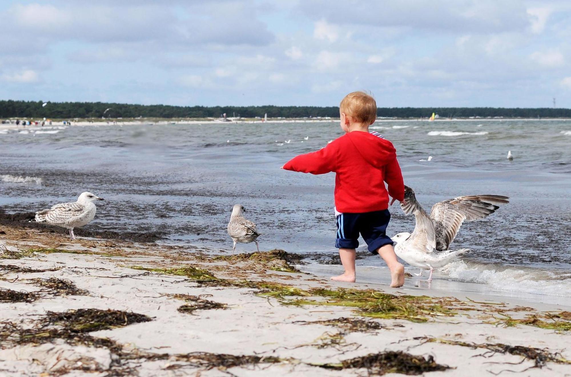 Strandhafer An Der Seebruecke Zingst Buitenkant foto